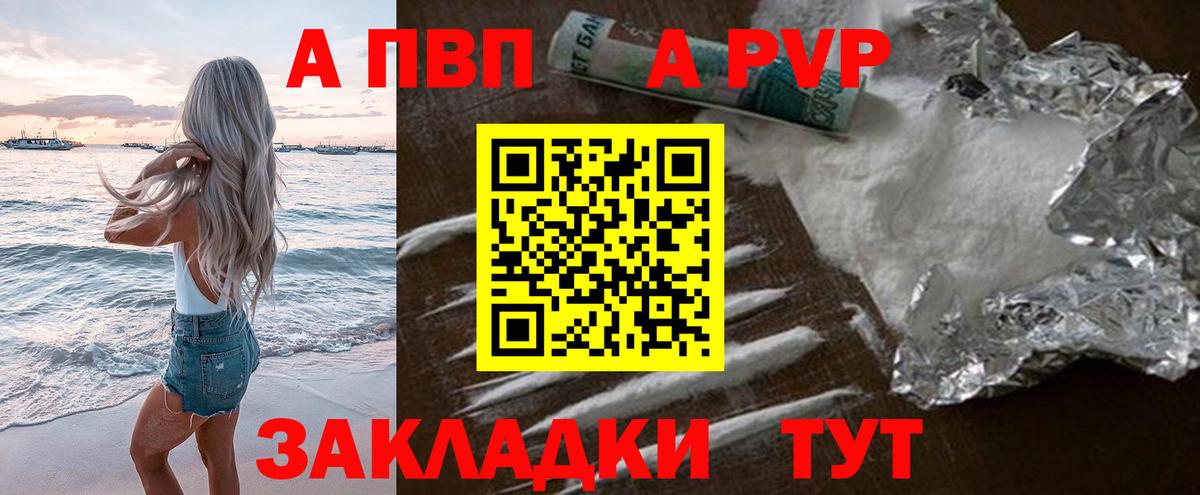 Alfa_PVP СК Балтийск