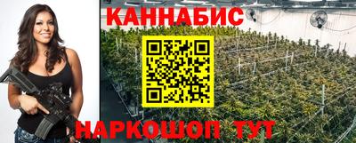 хмурый Кингисепп